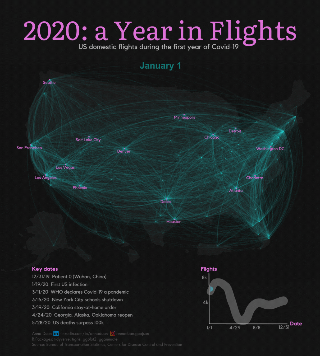 2020 in Flights by Anna Duan